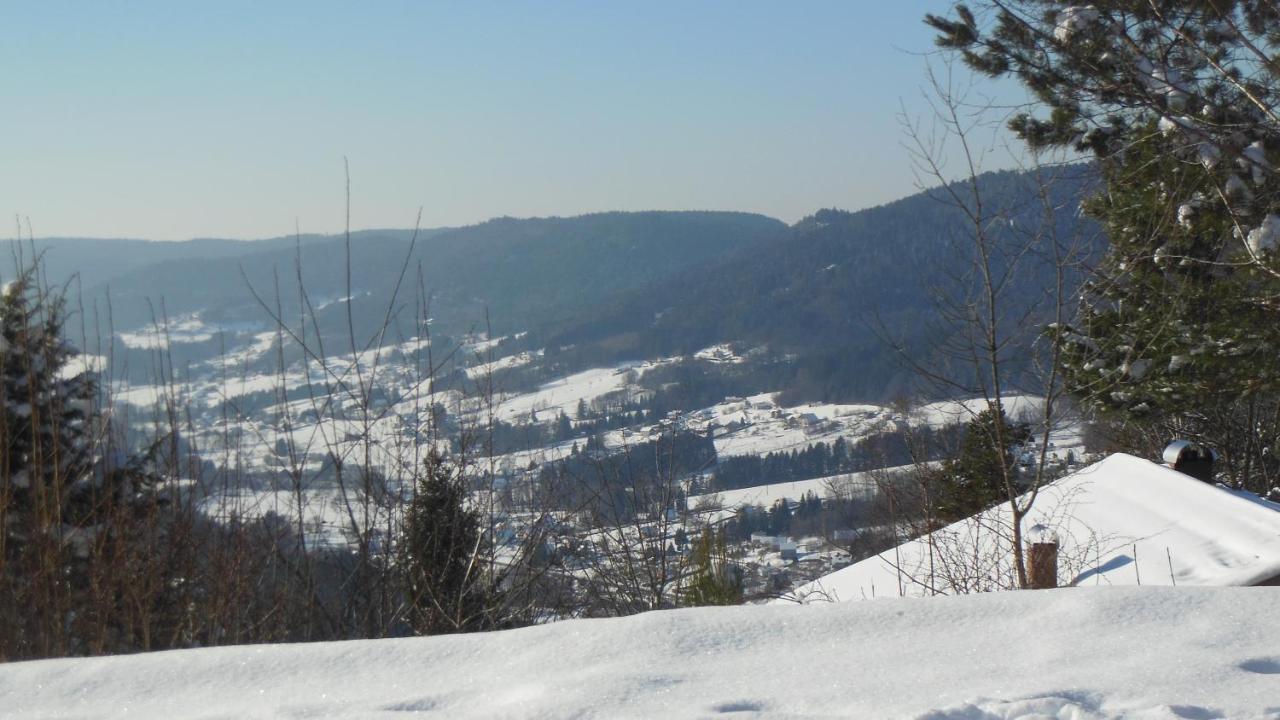 Chalet Luxe 12 Personnes Spa Sauna Vosges-Gerardmer 르톨리 외부 사진