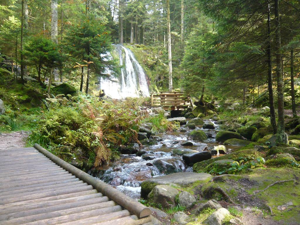 Chalet Luxe 12 Personnes Spa Sauna Vosges-Gerardmer 르톨리 외부 사진