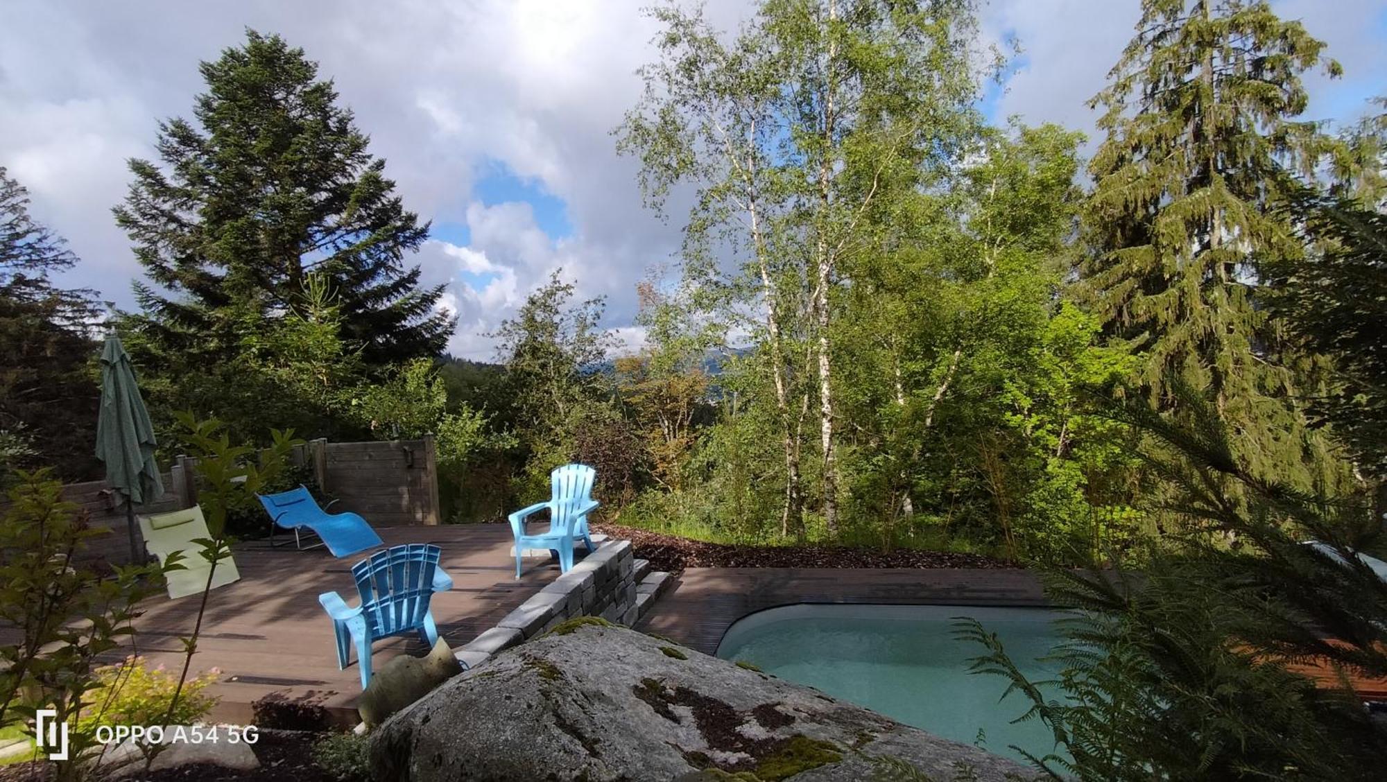 Chalet Luxe 12 Personnes Spa Sauna Vosges-Gerardmer 르톨리 외부 사진