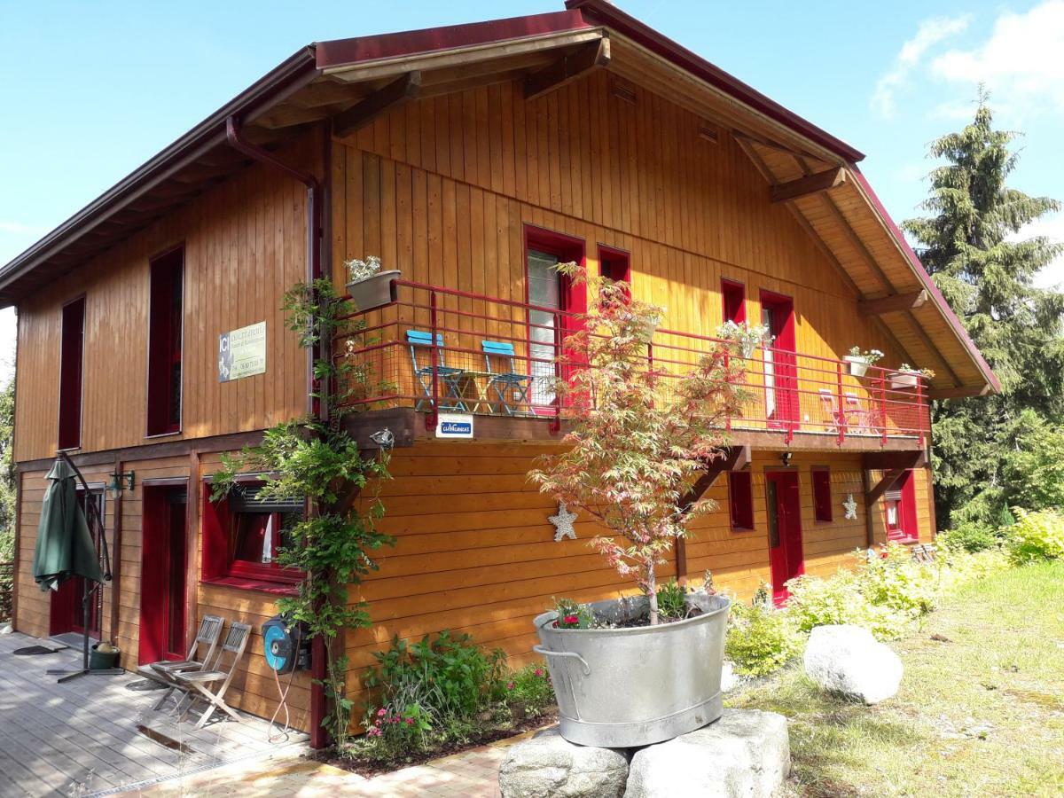 Chalet Luxe 12 Personnes Spa Sauna Vosges-Gerardmer 르톨리 외부 사진