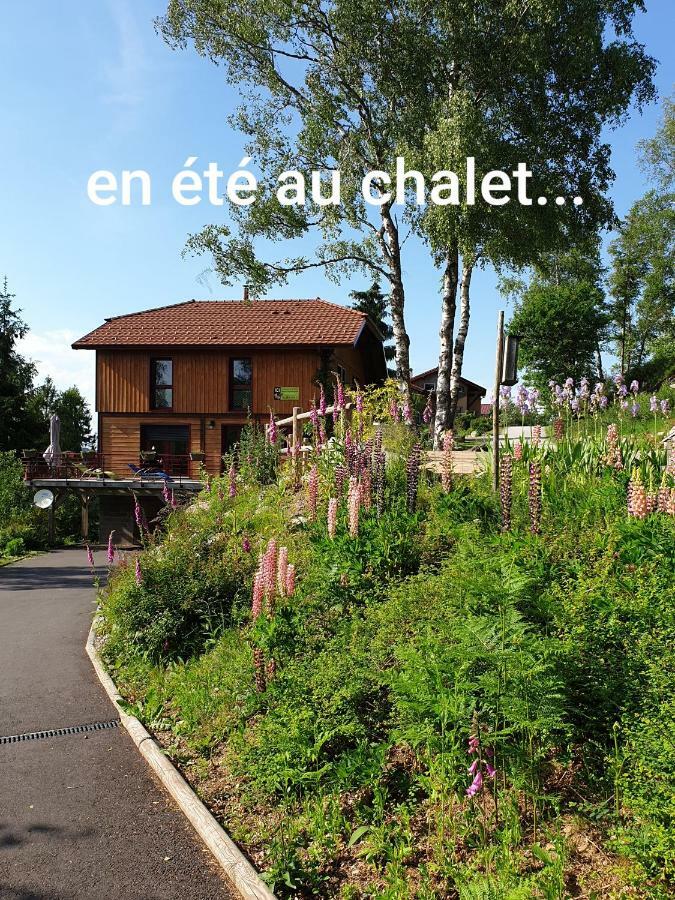 Chalet Luxe 12 Personnes Spa Sauna Vosges-Gerardmer 르톨리 외부 사진